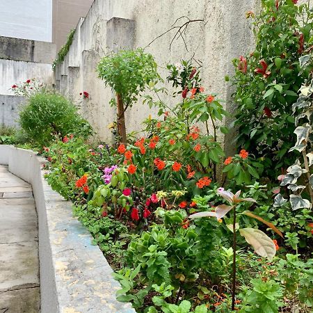 205- Apartamento 1 Quarto Suite, Encantador, Amplo E Decorado, Mobiliario Moderno, Cozinha Completa Com Utensilios , Excelente Vista Da Cidade E Localizacao Privelegiada No Bairro Bigorrilho , Kurytyba Zewnętrze zdjęcie